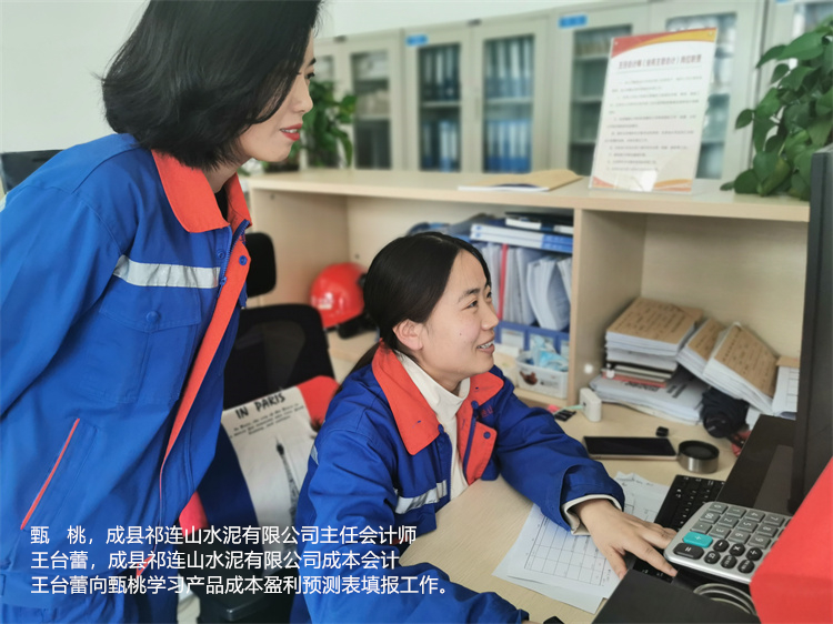 甄桃  王臺蕾  成縣祁連山水泥有限公司  成本會計王臺蕾向主任會計師甄桃學(xué)習(xí)產(chǎn)品成本盈利預(yù)測表填報工作.jpg